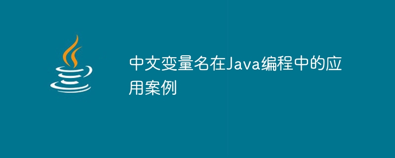 中文变量名在java编程中的应用案例
