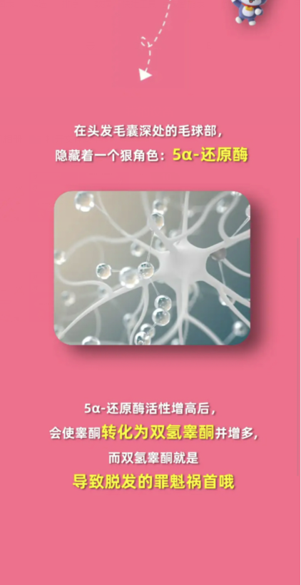 淘宝網大勝者 1 月 5 日: 頭はハゲなのに眉毛やひげが濃い人がいるのはなぜですか?