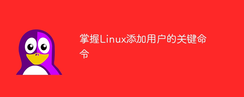 學會Linux添加用戶的重要指令-小浪學習網