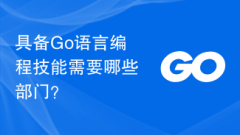 具备Go语言编程技能需要哪些部门?