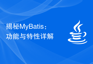 Enthüllung von MyBatis: Detaillierte Erklärung der Funktionen und Features