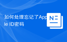 如何处理忘记了Apple ID密码