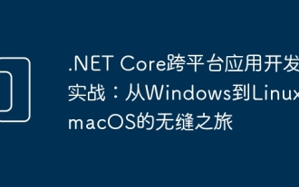 .NET Core cross-platform application development practice: a seamless journey from Windows to Linux and macOS