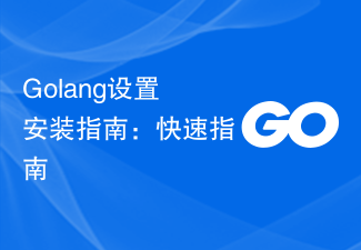 Golang设置安装指南：快速指南