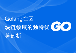 Golang在区块链领域的独特优势剖析