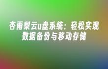 杏雨梨云u盘系统:轻松实现数据备份与移动存储