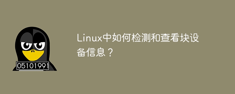 在Linux系统中，如何查看和诊断块设备信息？-小浪学习网