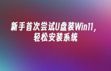 新手首次尝试U盘装Win11,轻松安装系统