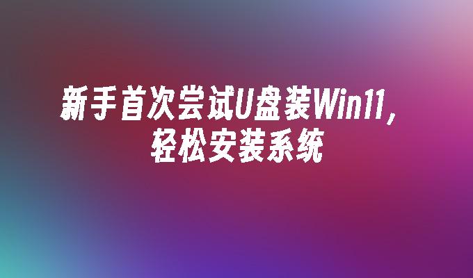 新手首次尝试U盘装Win11，轻松安装系统