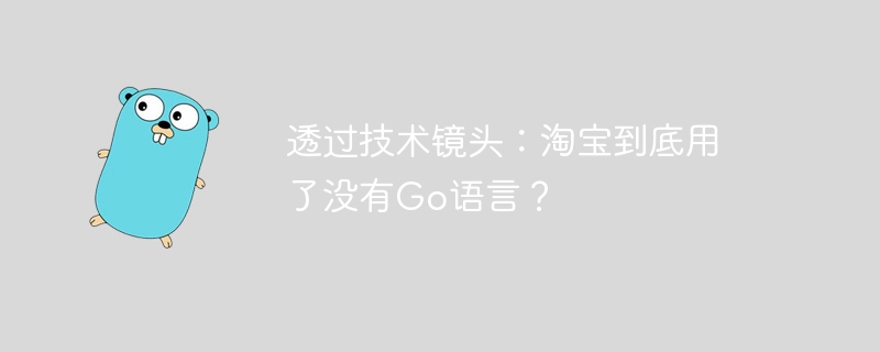 透过技术镜头：淘宝到底用了没有go语言？