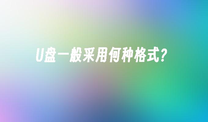 U盘一般采用何种格式?