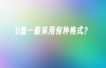 U盘一般采用何种格式?
