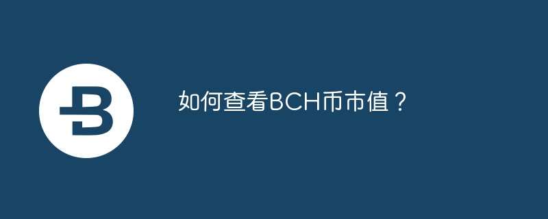 如何查看BCH币市值？