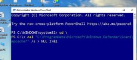 Windows 11中缺少或未显示Windows安全保护历史记录