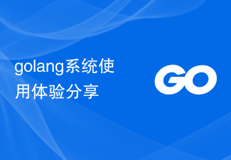 golang系统使用体验分享