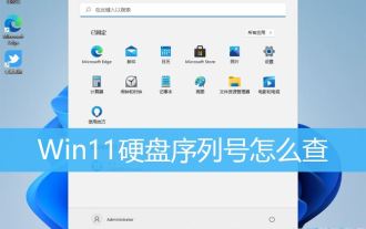 Combien de chiffres comporte le numéro de série du disque dur ? Comment interroger le numéro de série du disque dur Win11 ?
