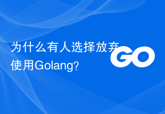 Why do some people choose to give up using Golang?