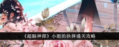 《超脑神探》小姐的抉择通关攻略