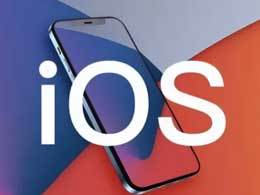What is the difference between the developer version and the public version of iOS?