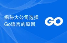 揭秘大公司选择Go语言的原因