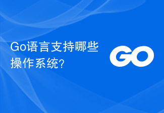 Go语言支持哪些操作系统？
