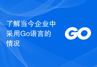 了解当今企业中采用Go语言的情况