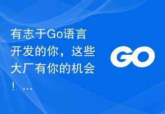有志于Go语言开发的你，这些大厂有你的机会！