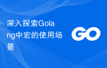 深入探索Golang中宏的使用场景