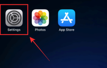 如何防止侧边按钮在iPhone上结束通话