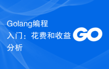 Golang编程入门:花费和收益分析