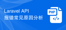 Laravel API エラーの一般的な原因の分析