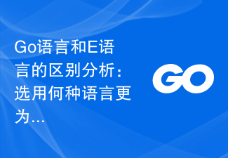 Go语言和E语言的区别分析：选用何种语言更为得心应手？