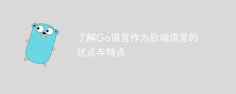 백엔드 언어로서 Go 언어의 장점과 특징을 이해합니다.