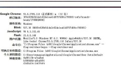 Chrome 플러그인 확장 프로그램 설치 디렉터리는 무엇인가요?