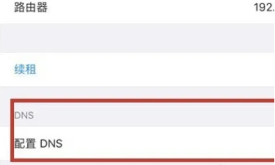蘋果手機dns怎麼設定
