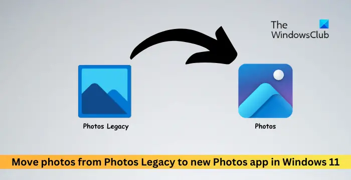 将照片从旧版照片移动到Windows 11中的新照片应用程序
