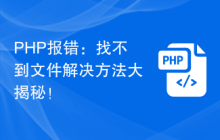 PHP报错：找不到文件解决方法大揭秘！