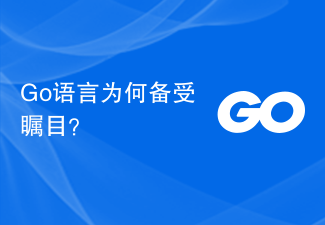 Go语言为何备受瞩目？