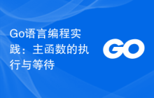 Go语言编程实践:主函数的执行与等待
