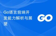 Go语言前端开发能力解析与展望