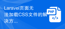 La page Laravel ne peut pas charger la solution de fichier CSS