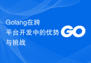 Golang在跨平台开发中的优势与挑战
