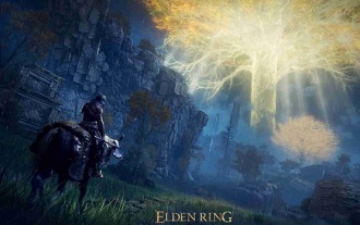 Kann Elden's Ring auf der Switch gespielt werden?