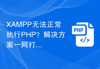XAMPP无法正常执行PHP？解决方案一网打尽