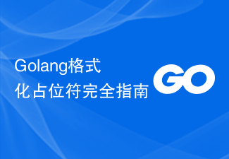 Golang格式化占位符完全指南