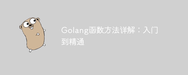 Golang函数方法详解：入门到精通-Golang-