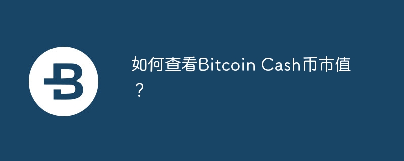 如何查看Bitcoin Cash币市值？-web3.0-