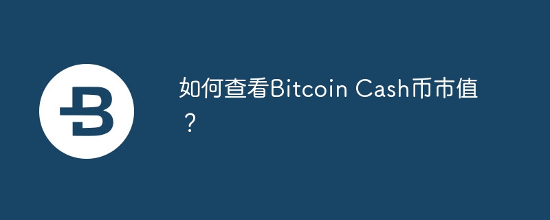 如何查看bitcoin cash币市值？