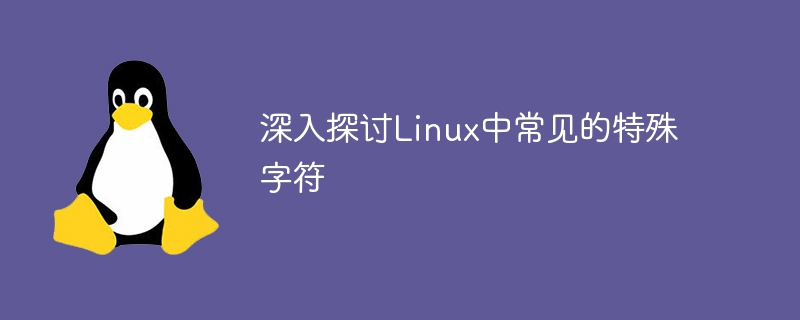 Linux の一般的な特殊文字の詳細