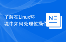 了解在Linux环境中如何处理位操作